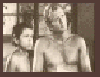 TARZAN.gif (62277 bytes)